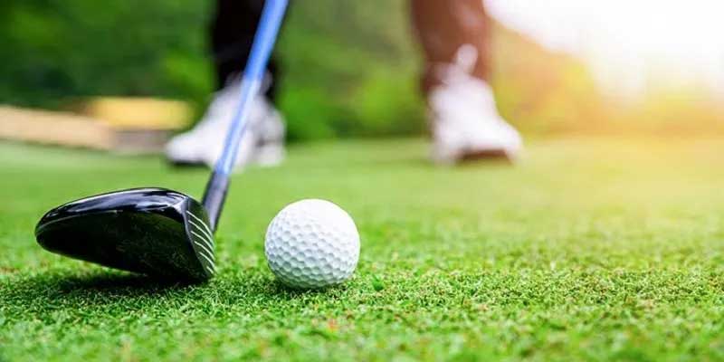 Cá cược Golf Mẹo cược hiệu quả và kiếm tiền online