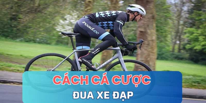 Cá cược đua xe đạp Mẹo cược hiệu quả cho người mới bắt đầu