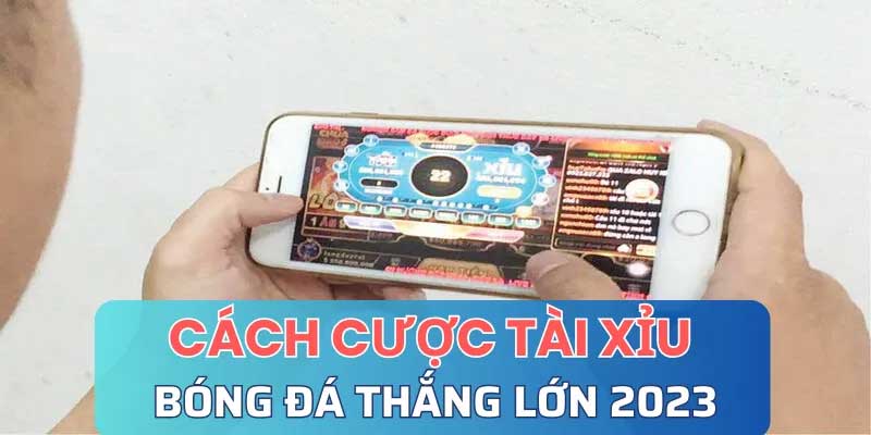 Cách Cược Tài Xỉu Bóng Đá Hiệu Quả Nhất Từ Cao Thủ Cá Độ