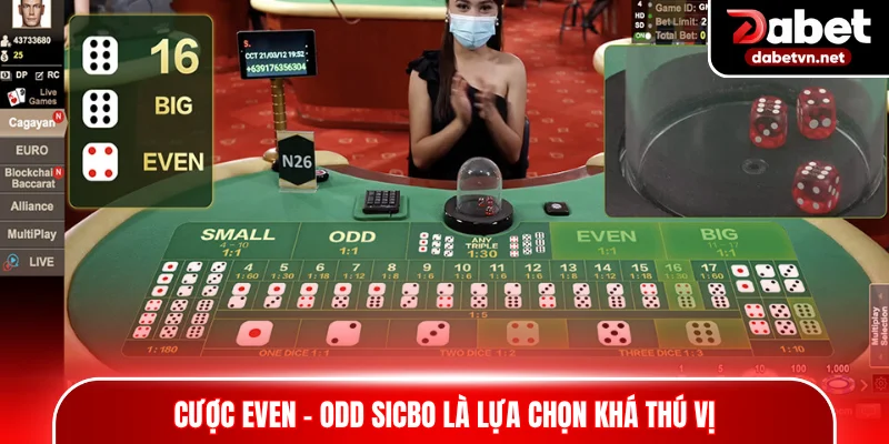 Cược Even - Odd Sic Bo là lựa chọn khá thú vị