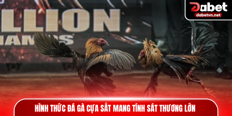 Hình thức đá gà cựa sắt mang tính sát thương lớn 