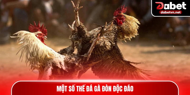 Một số thế đá gà đòn độc đáo