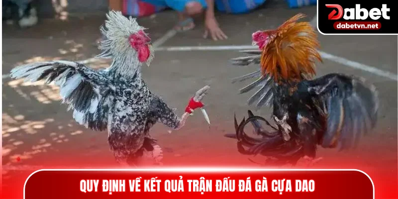 Quy định về kết quả trận đấu đá gà cựa dao